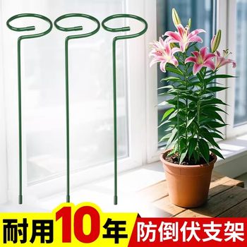 Plant anti-lost bracket Iron hydrangea spider support