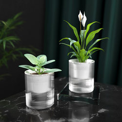 Self-Watering Plant Pot for Lazy People, Transparent Hydroponic Container, Plastic Glass Vase for Green Plants