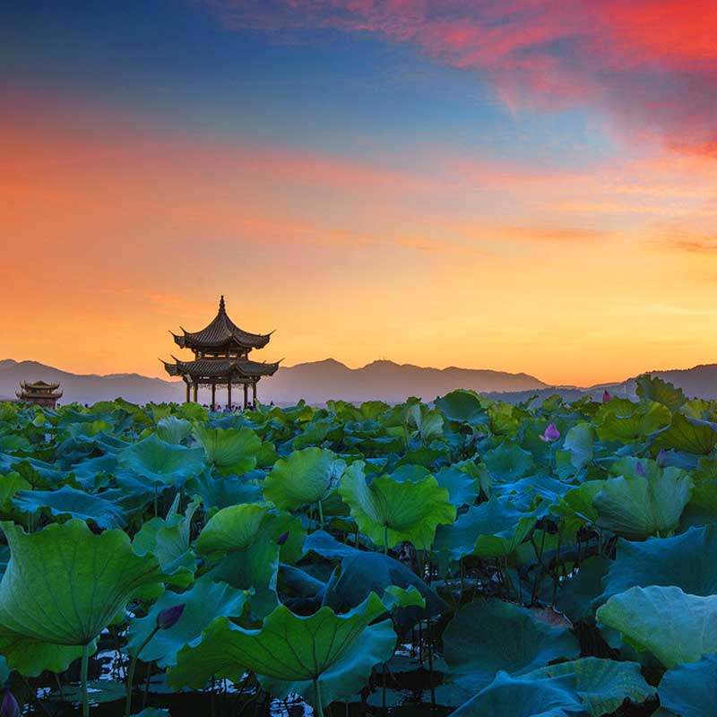 南京出发【亲子迪士尼+华东五市+乌镇6日5晚】0购物跟团 宿拈花湾