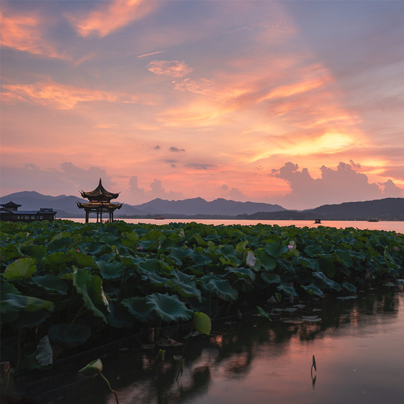 杭州+乌镇+苏州5日4晚私家团 专车专导 五钻豪华酒店 夜宿西栅