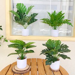 Simulated Bonsai Nordic Artificial Flowers Office Desk Small Potted Plants Monstera Potted Plants Living Room Decoration Simulated Green Plants Home Decorations
