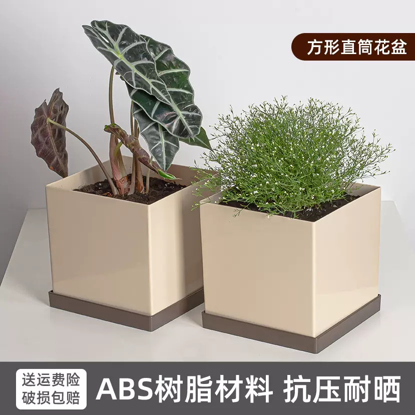 懒人吸水花盆盆栽塑料方形简约水培组合植物绿植-Taobao Vietnam