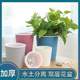 Creative automatic water-absorbing lazy flower pot plastic office desktop large and small home green radish succulent gardening flower pot