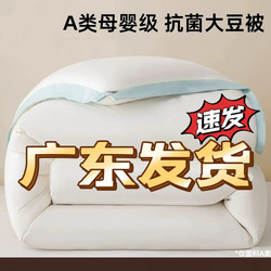   Quilt Winter Quilt Soybean Quilt Core Thickened Warm Spring and Autumn Quilt Single Dormitory Student Air Conditioning Quilt