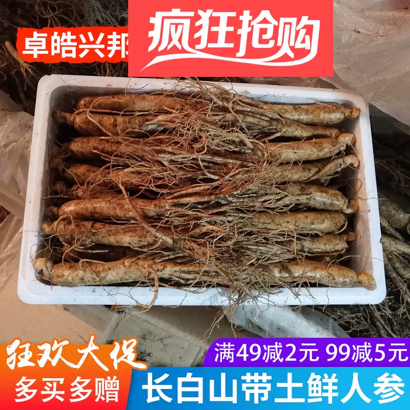 高麗人参 林下参 中国東北 - 食品