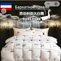 Siberian Soft Silk Silent White Goose down Quilt Feather Silk Protein Quilt Microfiber Thickened Double Winter Quilt Core