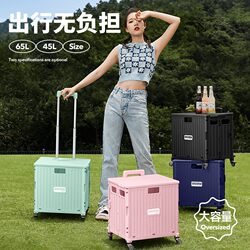 Household Small Cart for Market Shopping, Stainless Steel Folding Portable Shopping Cart, Outdoor Camping Trolley