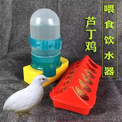 Quail Automatic Water Feeder, Pigeon Waterer, Water Guide, Parrot Feeder, Bird Food Box, Food Trough
