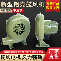 Small Household Blower 220V New Model Boiler Blower Barbecue Stove Combustion Booster Powerful Centrifugal Industrial Fan