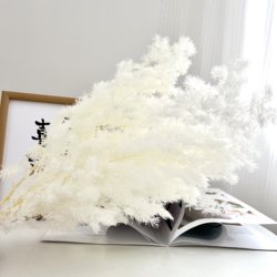 (ins Feng Yongsheng Penglai Pine) Living Room Tabletop Green Plant, Artificial Green Plant Potted Plant, Office Decoration, Gift Box