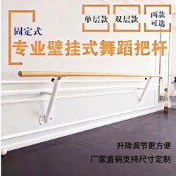 Dance Bar Wall-Mounted Fixed Type Professional Single/Double-Layer Adjustable Leg Stretching Bar Handrail for Dance Studio, Practice Room, Yoga