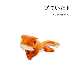 
Japanese takeoff genuine simulation animal cute small lizard doll doll plush toy gift