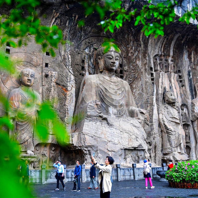 洛阳郑州出发龙门石窟少林寺一日游河南郑州洛阳旅游1日游含门票