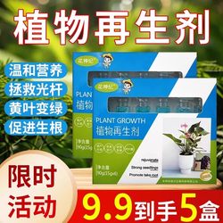 Plant regeneration agent general plant resurrection nutrient solution green plant potted flowers yellow pot water-soluble fertilizer
