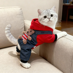 Cat Clothes for Autumn and Winter, Warm and Thickened, Cold-Proof, Golden Gradient Ragdoll, Blue Cat, British Shorthair, Pet Dog Four-Legged Clothing