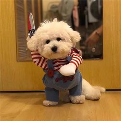 Funny Clothes for Dogs and Cats, Funny Knife-Wielding Outfits, Cute Samoyed, Creative Pet Teddy, French Bulldog Prank