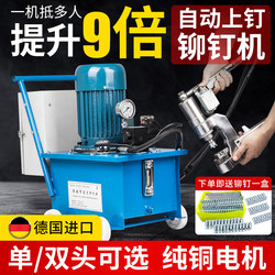 Automatic Riveting Hydraulic Rivet Machine, Pressure Riveting Machine, Single and Double Head Riveting Pliers, Riveting Machine with Automatic Feeding, Special Puncher