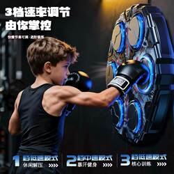 Boxing Music Wall Target for Adults and Children, Home Boxing Trainer, Boxing Wall Target, Smart Electronic Boxing Equipment Y