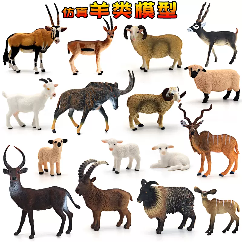 仿真大號山羊非洲羚羊玩具模型綿羊塑膠實心靜態擺件動物兒童禮物-Taobao