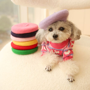 
Popular pet beret autumn and winter warm cat and dog toy hat fashion high-end Schnauzer wool hat wholesale