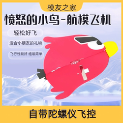 Aircraft Model Fixed-wing Electric Remote Control Aircraft Waist Push Empty Aircraft Angry Birds Children's Remote Control Aircraft Electric