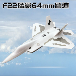 F22 Raptor 64mm Ducted Epo Model Aircraft - Remote Control Fighter Jet For Adults