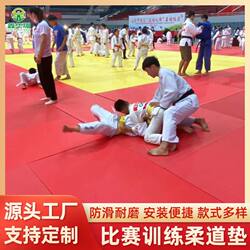 Judo Mat, Martial Arts Mat, Sanda Mat, Professional Competition Jiu-Jitsu Training Mat, Fighting Gym, Taekwondo Wrestling Mat