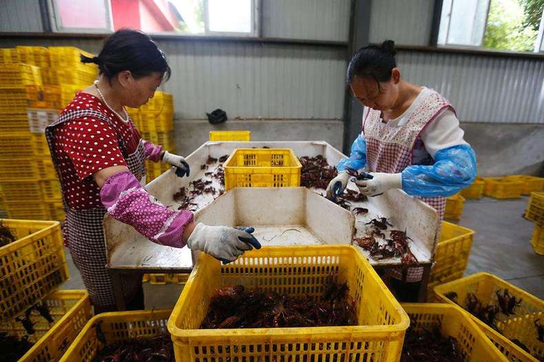 为啥有的卖“虾尾”要比整只小龙虾便宜？(图5)