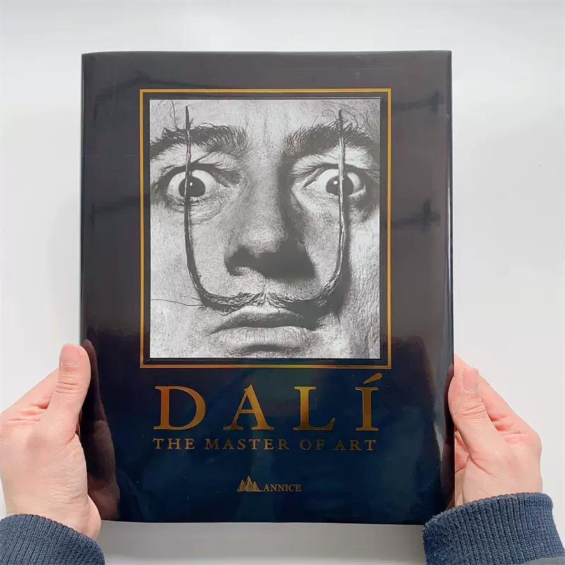 DALIの絵画集 - 洋書