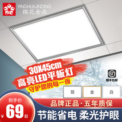 Integrated Ceiling Light 300*450 Kitchen Bathroom Led Flat Panel Light Ceiling-Mounted Embedded Lighting Fixture 30*45