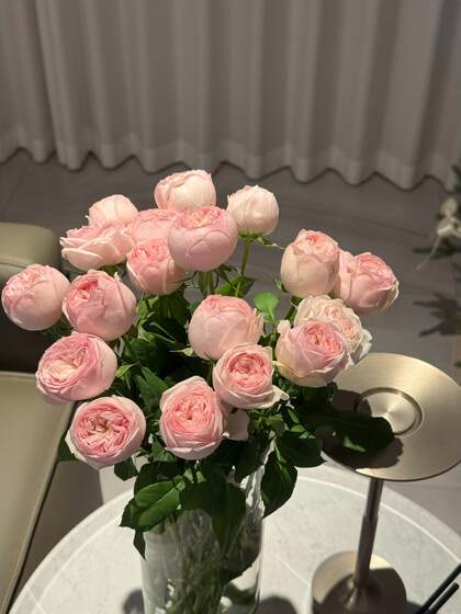 
Single head cool skin rose flowers Yunnan base fresh straight hair home office water-raised fresh cut flowers SF free shipping