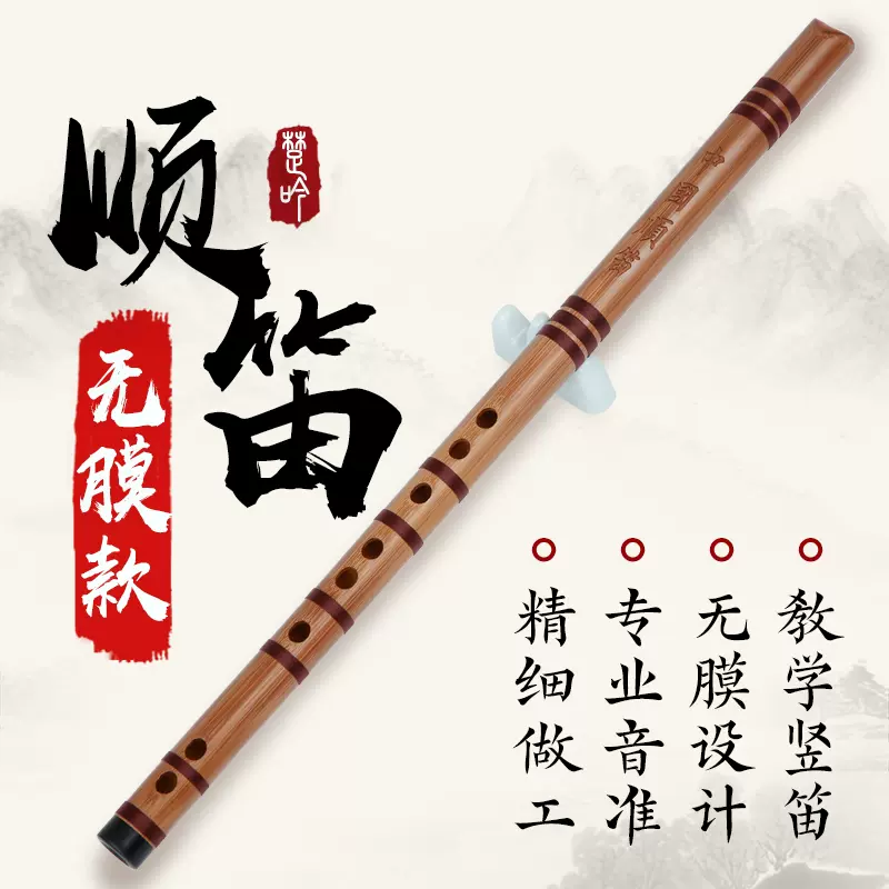 竖笛六孔f调g中国顺笛中小学教学新式无膜竹笛初学入门小乐器专业 Taobao