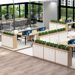 Office Flower Trough File Cabinet Low Cabinet Wooden Tableside Workshop Partition Long Floor-Standing Employee Storage Information Cabinet