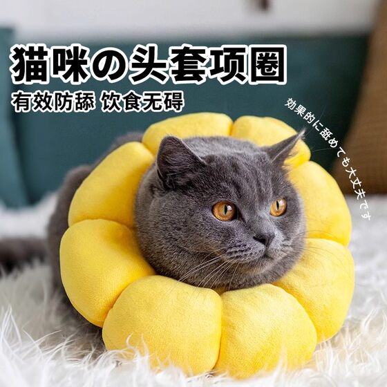 
[Cat Collar] Elizabeth Circle Sunflower Anti-licking and biting soft head cover Elizabeth white neck ring supplies