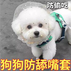 Anti-Eating and Anti-Biting Mesh Dog Headgear for Small Dogs Like Teddy and Bichon, Prevents Accidental Ingestion and Licking