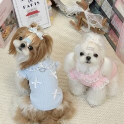 Dog Clothes Spring and Summer Thin Breathable Lace Lapel Doll Shirt Teddy Bichon Small and Medium-Sized Dog Pet Clothing