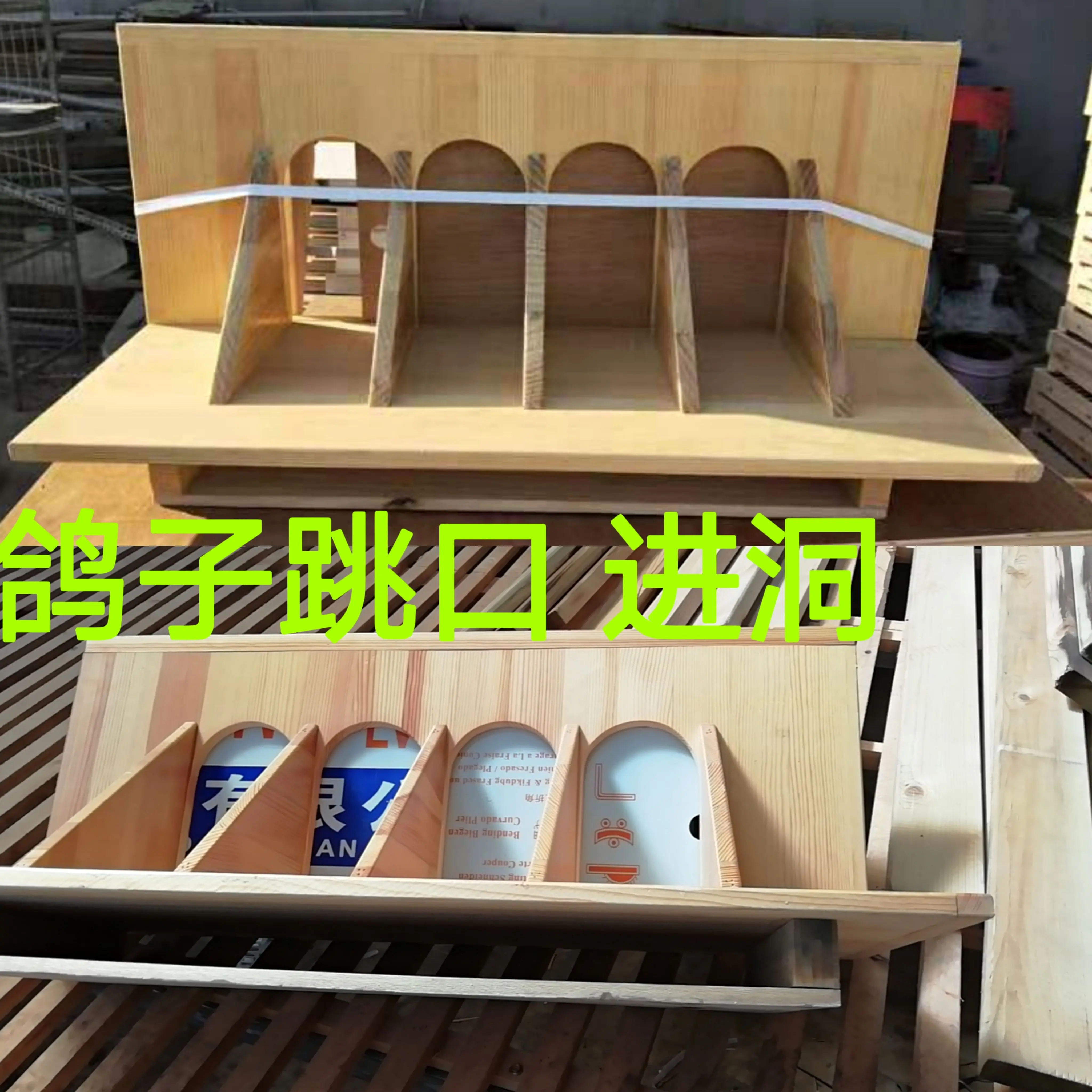 松木  鸽子跳门跳口 赛鸽入口 鸽子撞门鸽舍跳笼 信鸽用品用具