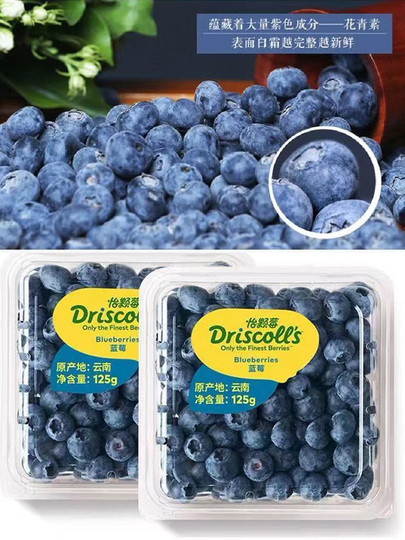 雲南イケベリーブルーベリー - 500g 新鮮で甘い