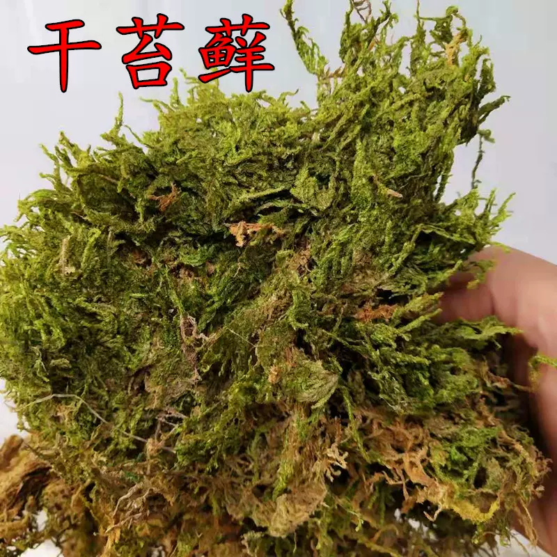 国产干水苔蝴蝶兰专用压缩干水苔藓8kg大包装兰花栽培