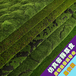 Simulated lawn green moss micro landscape plant wall