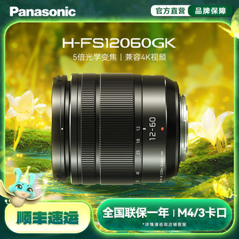 Panasonic 12-60mm standard zoom lens