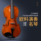 Pure handmade violin performance colleges and universities European materials Maple in European imported cloud fir solo