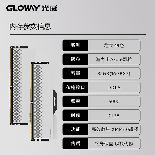 Gloway Longwu 32GB (16GBx2) DDR5 6000/6400/6800 Desktop Memory