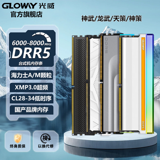 Gloway Longwu 32GB (16GBx2) DDR5 6000/6400/6800 Desktop Memory