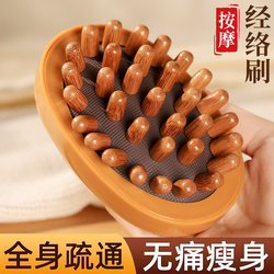 Meridian Brush Massage Brush for Whole Body, General Use, Belly Fat Burning, Abdominal Massage, Meridian Dredging, Leg Massager, Liver and Gallbladder Meridian Scraping Tool