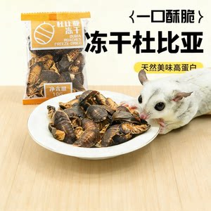 
Sugar glider snacks freeze-dried Dubia shrimp nutritional fattening hair gills golden bear hamster food flowery mouse special