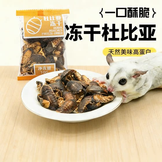 
Sugar glider snacks freeze-dried Dubia shrimp nutritional fattening hair gills golden bear hamster food flowery mouse special