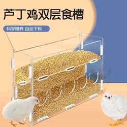 Pet chicken quail acrylic splash-proof transparent feeder