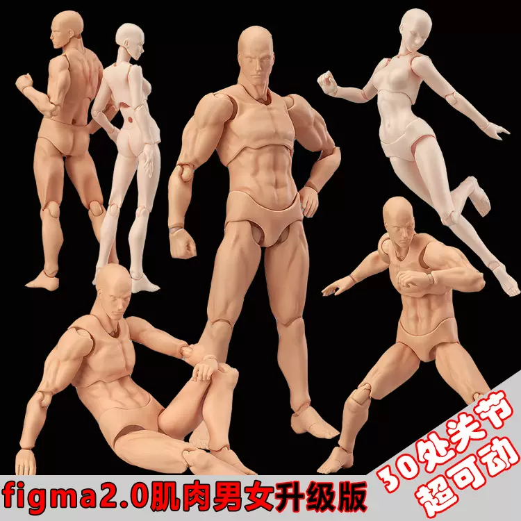 figma素体美术人体模型玩具日本人偶关节可动成人绘画肌肉shf素体-Taobao