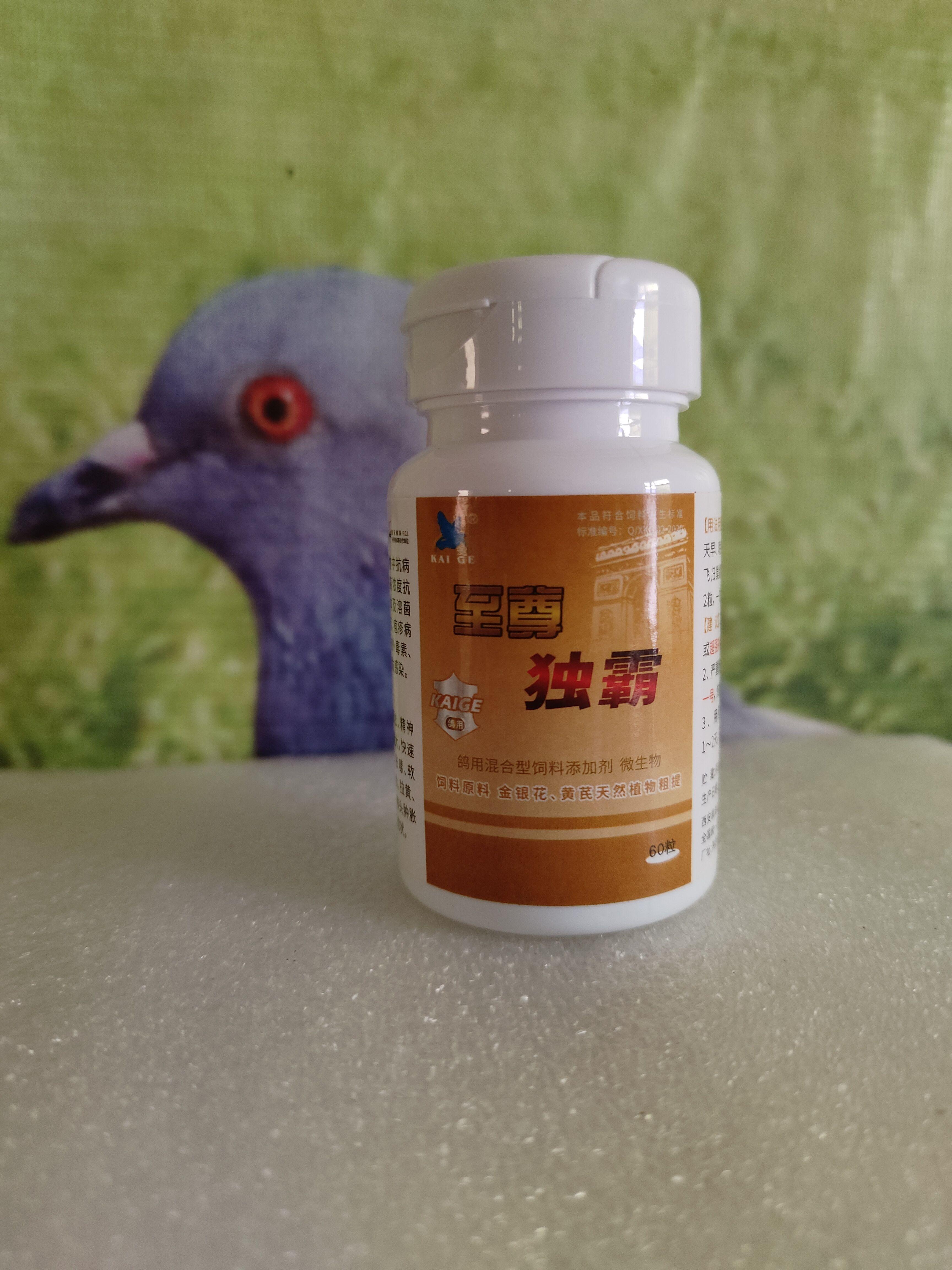 疑难杂症,新城疫病毒,鸽子歪头 60粒/瓶独霸